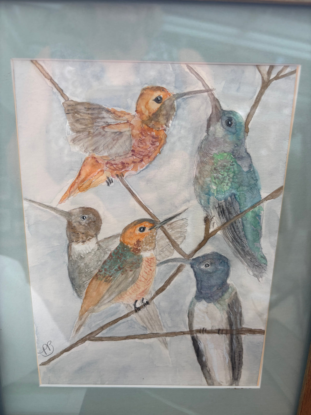 Hummingbirds